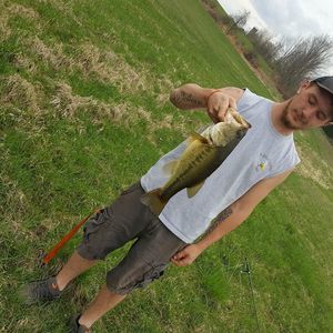 Meet your Posher, Rex